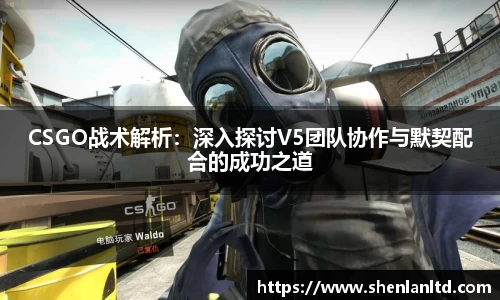 CSGO战术解析：深入探讨V5团队协作与默契配合的成功之道
