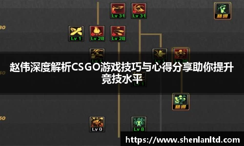 赵伟深度解析CSGO游戏技巧与心得分享助你提升竞技水平