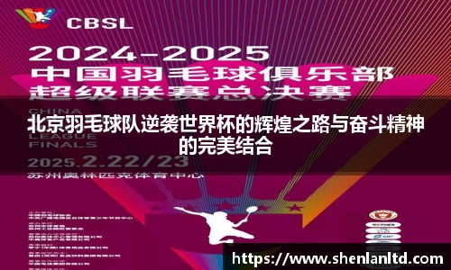 北京羽毛球队逆袭世界杯的辉煌之路与奋斗精神的完美结合